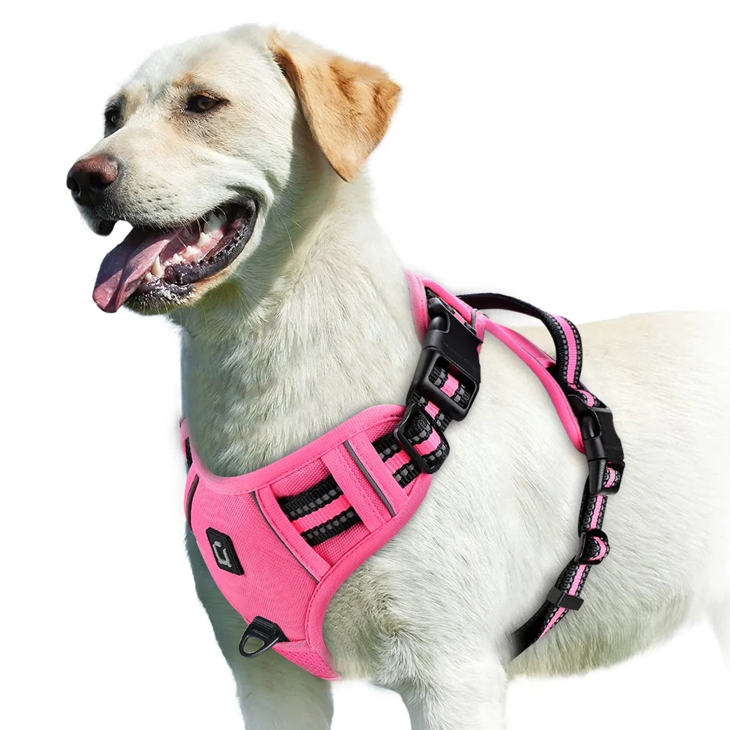 Harnais Confort Anti-traction pour Chien