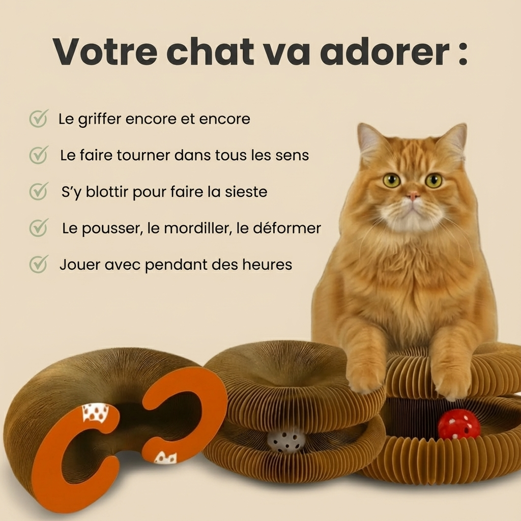 Griffoir en spirale interactif pour chats
